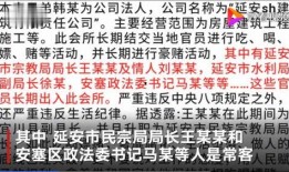 视频爆料当事人合法吗,视频爆料当事人合法性的法律边界探讨