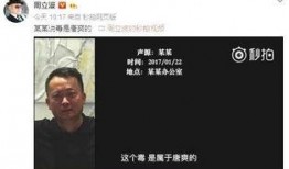 唐爽最新爆料,揭开事件背后惊人真相