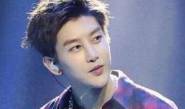 周艺轩女友爆料视频,揭秘明星恋情背后的真相