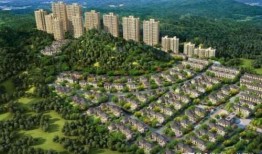 肥乡玉桂园最新爆料,揭秘神秘项目背后的惊人真相！